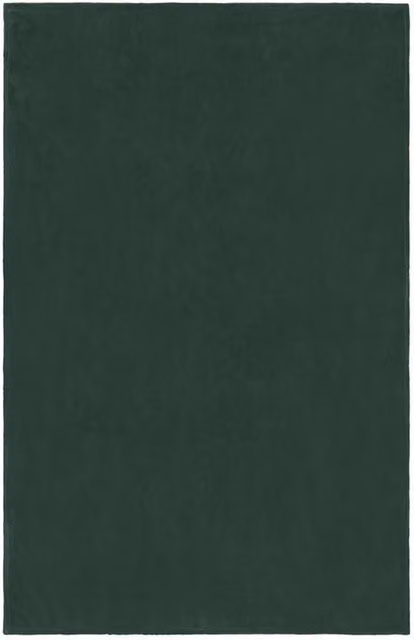 James and Nicholson Microfibre Fleece Blanket in Green