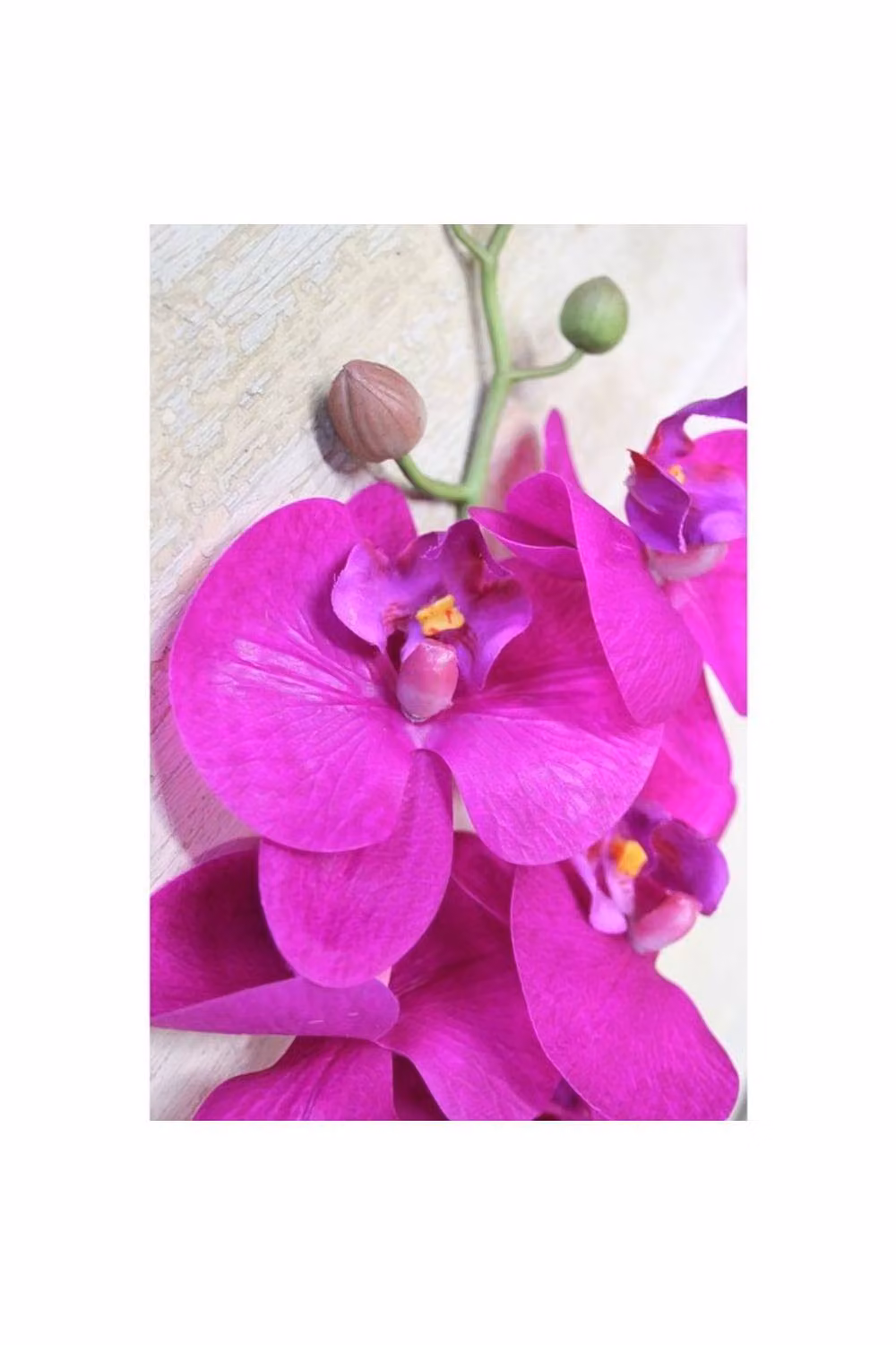 KDMD Cerise Pink Phalaenopsis Orchid Spray – 2