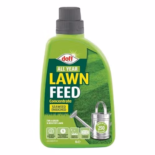 Doff All Year Lawn Feed Concentrate 1L Liquid Seaweed Enriched Plant Tonic for Healthy Green Grass – 1