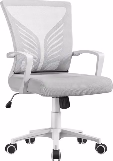 Yaheetech Modern Adjustable Task Chair with Lumbar Support and Armrests in Grey and White