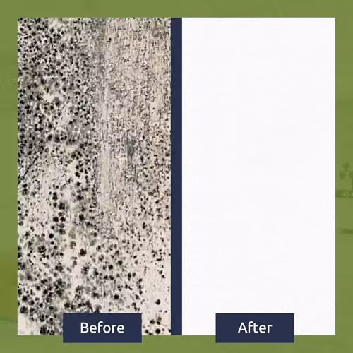 Stonecare4u Anti Mould Paint in Natural Flint, 5 Litre, for Walls and Ceilings