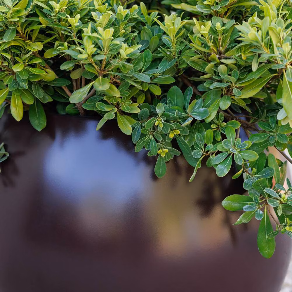 Primrose Volterra Brown Fibreglass Ball Outdoor Patio Planter Sphere Small – 3
