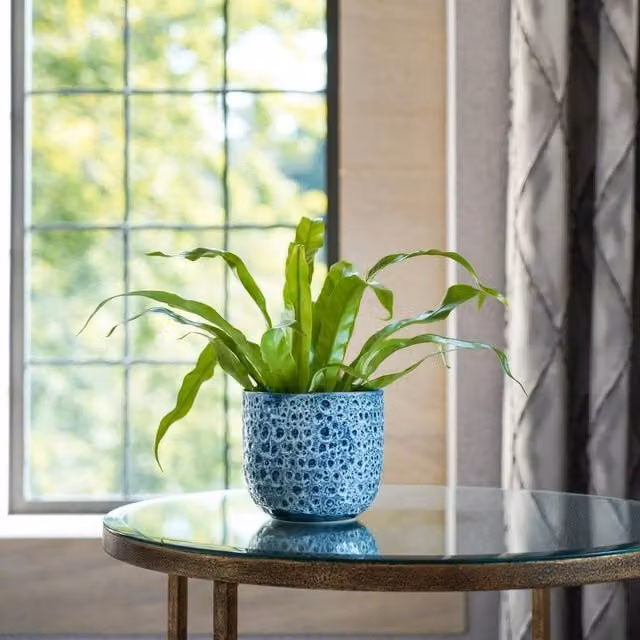 Ivyline Sapphire Reactive Glaze Ceramic Planter in Blue and Turquoise, H: 25 cm, W: 25 cm, D: 25 cm – 1