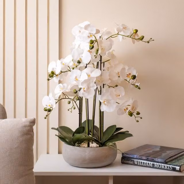 Scottish Everlastings Ltd 10-stem Real Touch White Orchid in a Grey Ceramic Pot, Height: 68 cm – 1