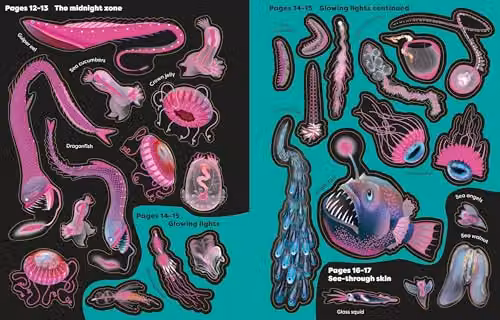 Usborne Big Sticker Book Weird Deep Sea Creatures, Multicolour – 3
