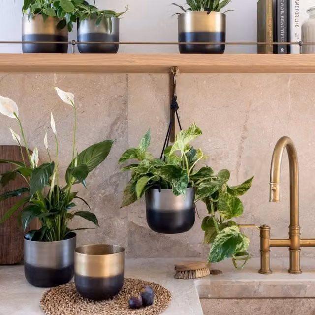 Ivyline Oscar Two Tone Silver Metal Tabletop Planter Set of 2