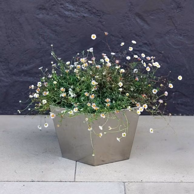 Primrose Stainless Steel Hexagon Metal Outdoor Garden Planter in Silver W: 40 cm, D: 40 cm, H: 40 cm