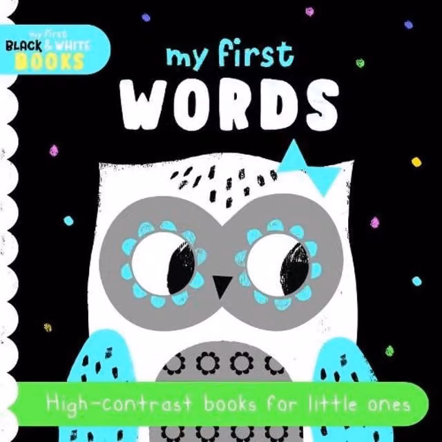 North Parade Publishing My First Words Multicolour Board Book