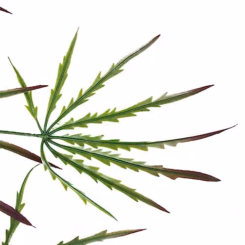 Leaf 100cm Artificial Hanging Acer Spider Plant in Green and Multicolour – 2