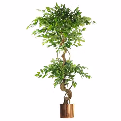 Leaf Realistic Artificial Japanese Fruticosa Ficus Tree in Green, H 150 cm x W 20 cm x D 20 cm – 1