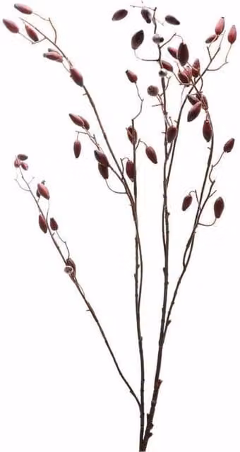Lemon Pavilion Burgundy Rosehip Stem Artificial Plant, Red, W: 17 cm, D: 17 cm, H: 108 cm