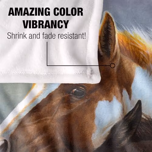 JQ Licensing CF Two Foals Horses Silky Touch Super Soft Fleece Throw Blanket, White, W/D/H: 152 x 127 cm – 3
