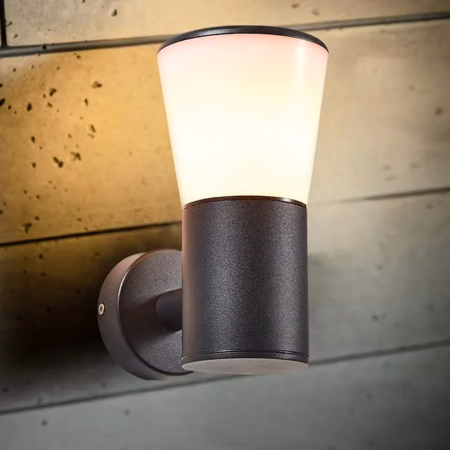 CGC Otis Black Outdoor Wall Lantern with Opal Diffuser and Up/Down LED Lighting