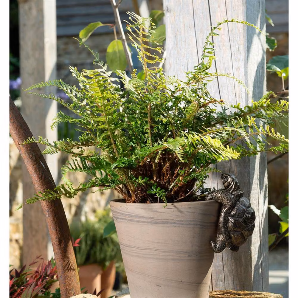 Jardinopia Tortoise Hanging Plant Pot Hanger, Bronze, W6 x D11 x H7.5 cm – 4