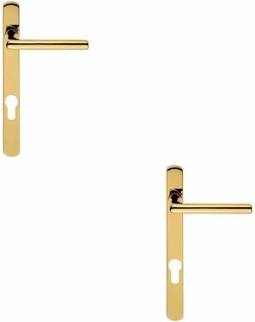 Loops 2x Pair Straight Lever on Narrow Euro Lock Backplate in Stainless Brass, W: 220 mm, H: 26 mm