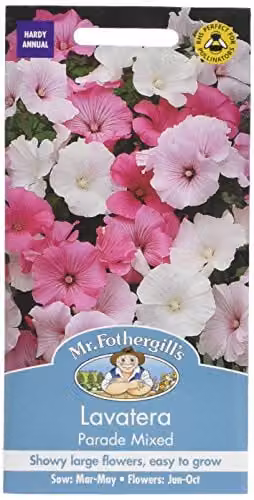Mr Fothergill's Lavatera Parade Mixed Multicolour Ornamental Flower Seeds – 1