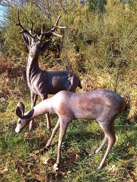 Inspirational Gifting Large Stag and Doe Deer Garden Sculptures in Bronze Aluminium, Height: 92 cm – 1