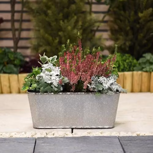Garden Gear Silver Steel Effect Metal Trough Planter, W: 38 cm, D: 17 cm, H: 15 cm – 2