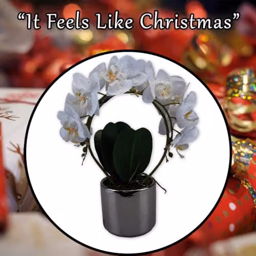 VFM e-Store Phalaenopsis Artificial Orchid Potted Plant in White and Beige, H 36.6 x W 27.5 x D 13.2 cm – 6