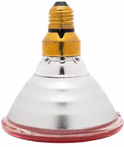 Curalux Red LED Infrared PAR 38 Reflector Bulb
