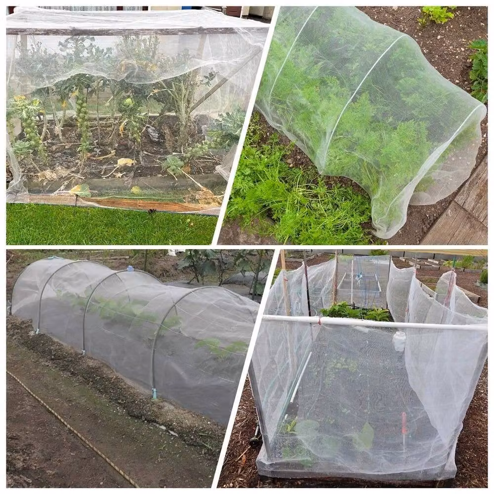 NESTLUNE White Garden Netting for Vegetable Crop Protection, 1 x 5 m – 3