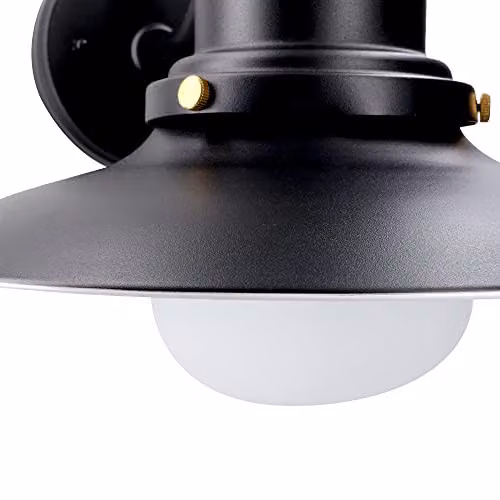 Netlighting Avenue Black Dome Outdoor Wall Light IP44 – 4