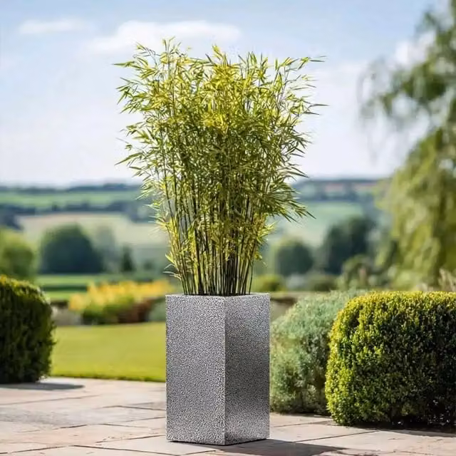 Tulipy Galvanised Steel Tall Square Planter, Silver and Black, W/D/H: 32 x 32 x 75 cm