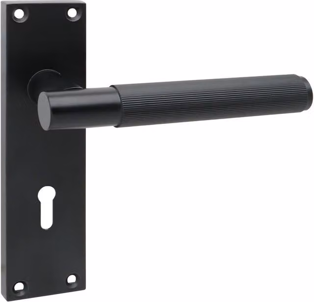 Golden Grace Matt Black Door Handle with Screws