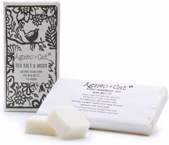 Agnes & Cat Sea Salt & Moss Soy Wax Melts, Box of 8, White