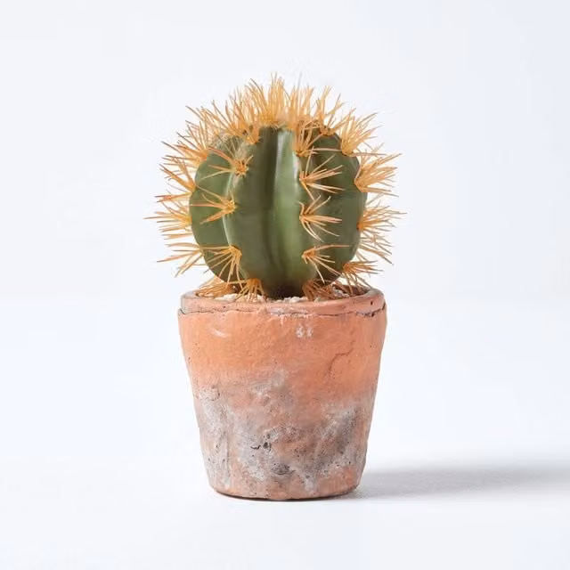Homescapes Small Round Artificial Succulent Cactus in Orange and Green Terracotta Pot, Height: 15 cm – 1