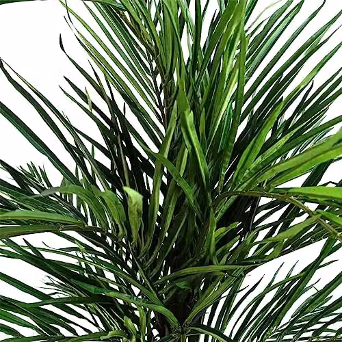 Leaf Design UK 130cm Green Areca Palm Artificial Tree – 2