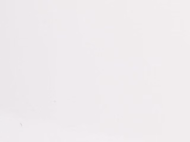 Guardian Internal Wall Panels, Matt White, Pack of 4, W: 250 mm, H: 2600 mm, Thickness: 7.5 mm