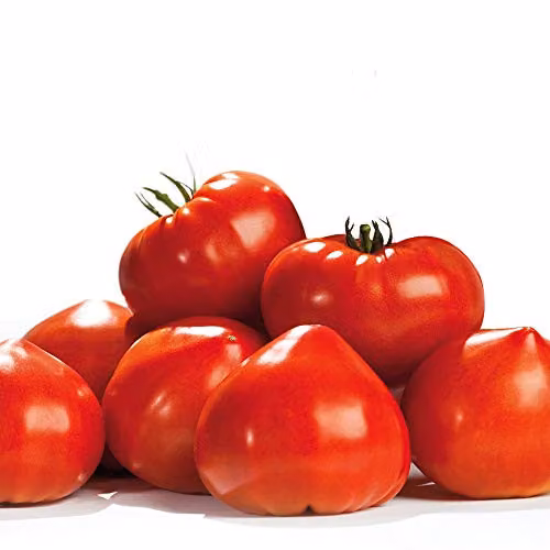 Thompson and Morgan Tomato Gourmandia F1 Hybrid Vegetable Seeds, 4 Seeds – 3