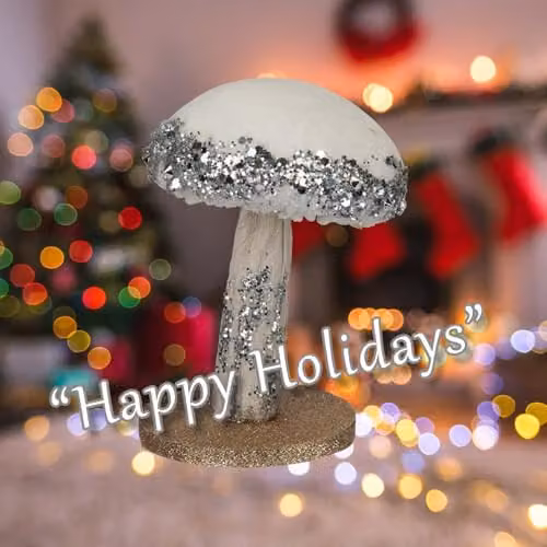 VFM e-Store Christmas Velvet Mushroom Tabletop Decoration in Silver and White, H: 13 cm x W: 9 cm – 3