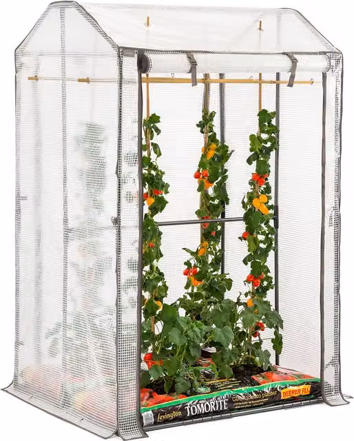 Christow Double Tomato Growhouse in Black