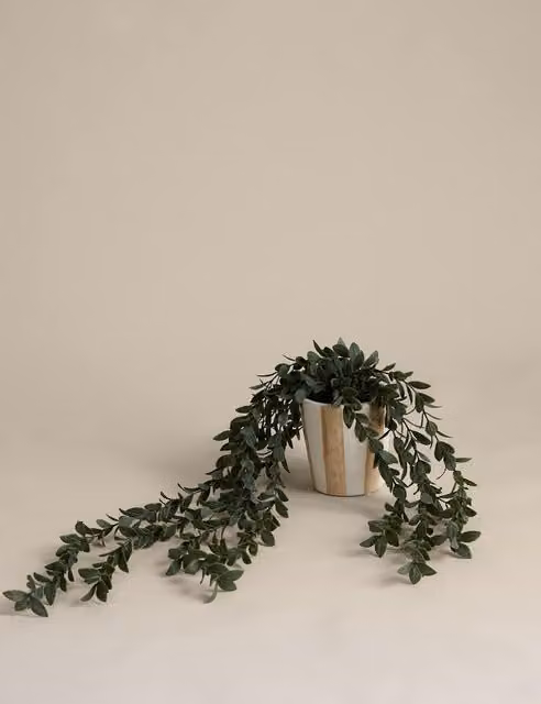 M&S Artificial Trailing Boxwood in a Striped Green Ceramic Pot