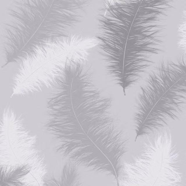 Arthouse Sussurro Feather Wallpaper in Grey Matt Paper – 1