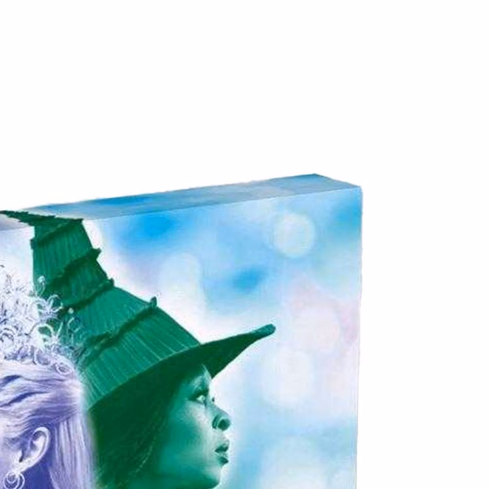 Wicked Elphaba and Glinda Multicolour Framed Canvas Print – 2