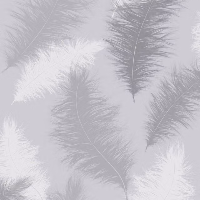 Arthouse Sussurro Abstract Feather Wallpaper in Grey – 2