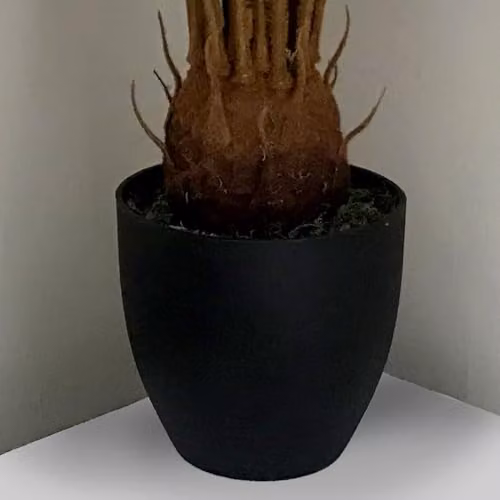 Botanik Green Potted Artificial Tropical Palm Plant, Height: 70 cm – 3