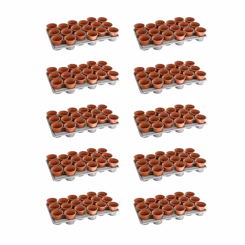 Thompson & Morgan Brown Plastic Garden Shuttle Trays with 180 Pots