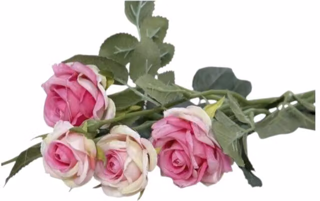 Kingsbury Gifts Artificial Camelot Garden Rose Spray in Blush Pink, Height: 70 cm