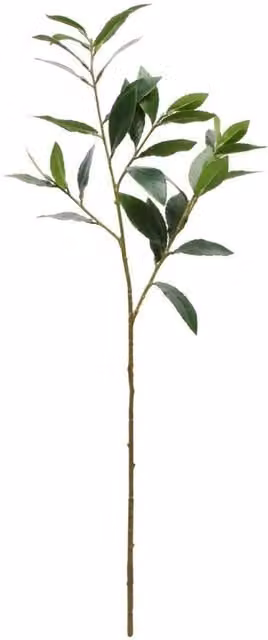 KDMD Laurus Nobilis Green Artificial Plant for Weddings