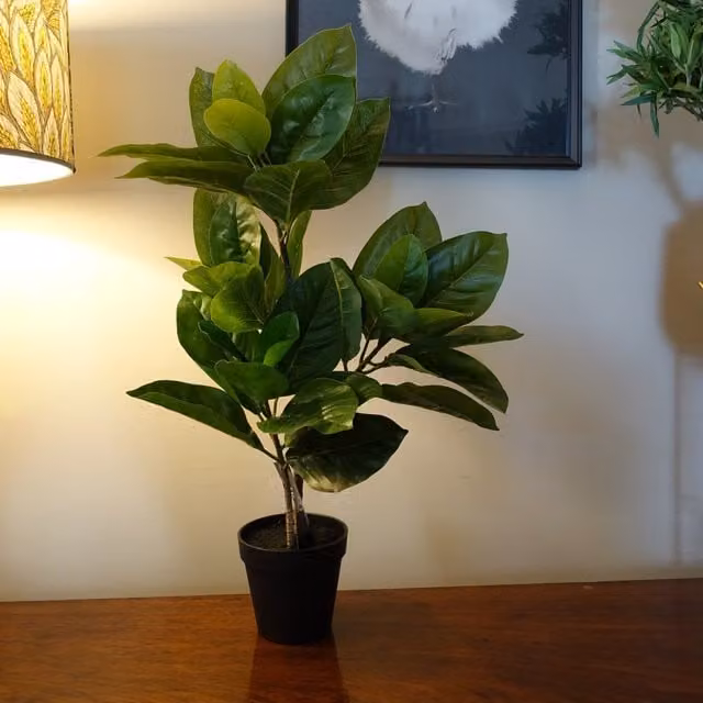 Artificial Green Rubber Plant in Black Pot for Tabletop Display