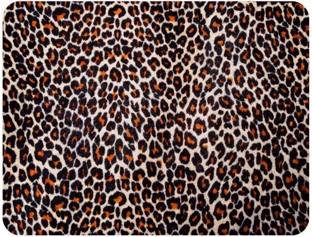Benjamin Tate Design Leopard Skin Print Fleece Blanket in Brown, Beige and Multicolour, W/D/H: 120 x 150 cm – 2
