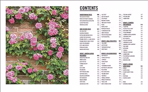 Grow Roses: Essential Know-how and Expert Advice for Gardening Success by DK – 3