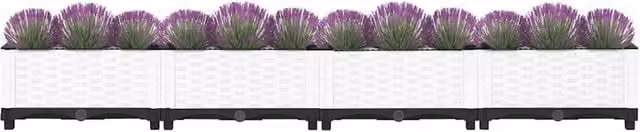 Berkfield Home White Polypropylene Raised Bed W: 160 cm, D: 40 cm, H: 23 cm – 1