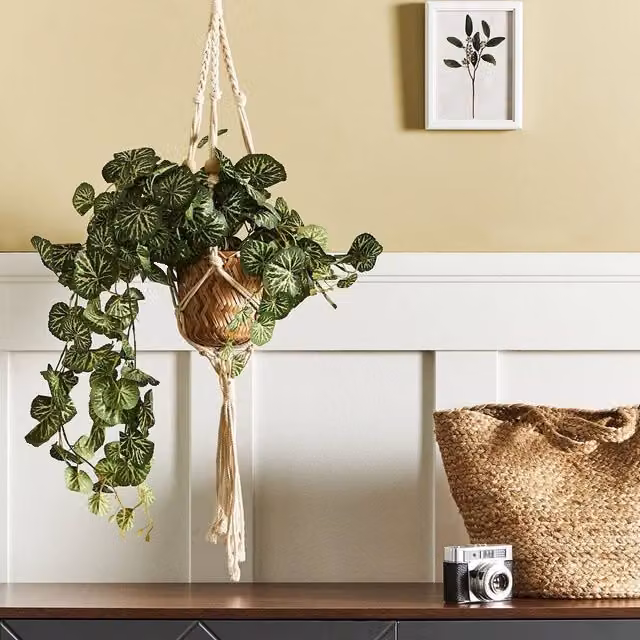 Wyld and Coco Charmi Green Artificial Hanging Plant with Concrete Base, Height: 37 cm – 1