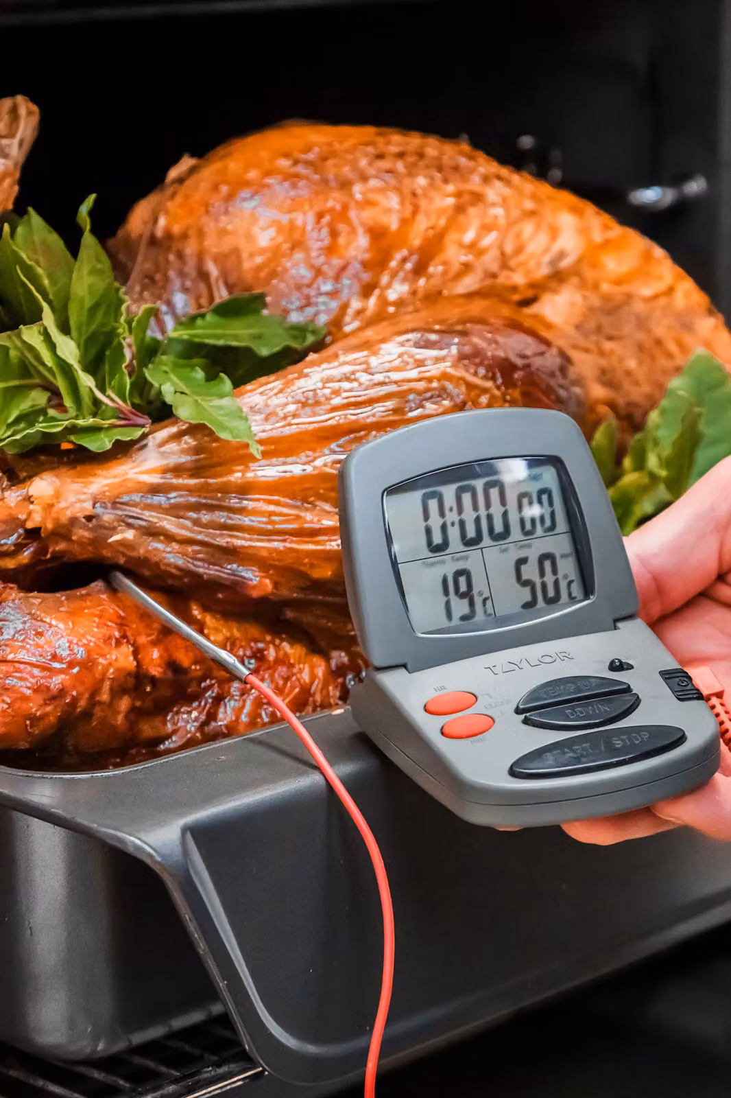 Taylor Pro In Oven Digital Meat Thermometer and Kitchen Timer in Grey – 2