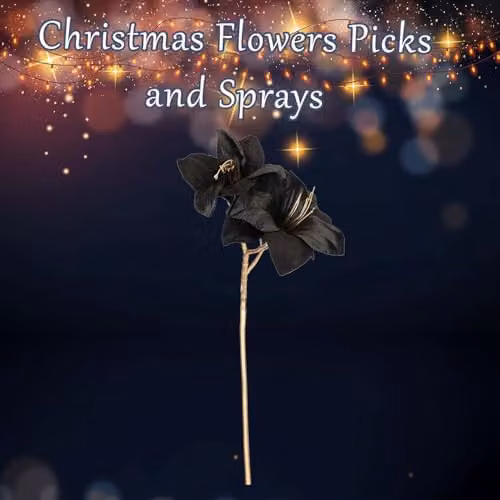 VFM e-Store Black Amaryllis Christmas Spray Decoration, H 56 cm x W 22 cm – 2